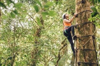 Natural And Unique Tree Climbing Experience in Monteverde, Costa Rica